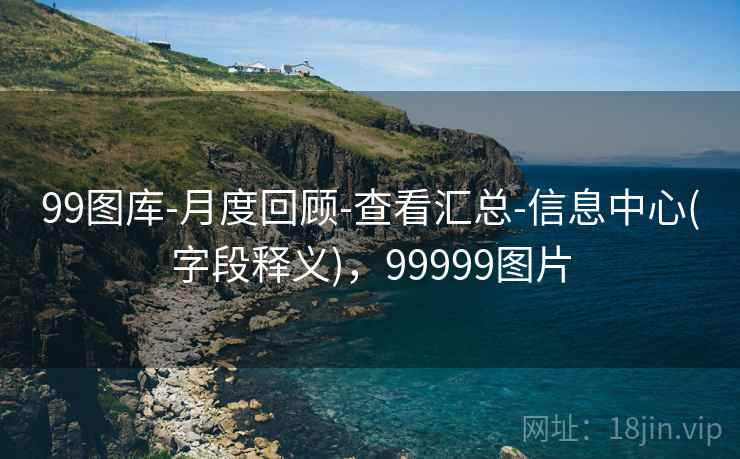 99图库-月度回顾-查看汇总-信息中心(字段释义),99999图片 99图库-月度回顾-查看汇总-信息中心(字段释义),99999图片